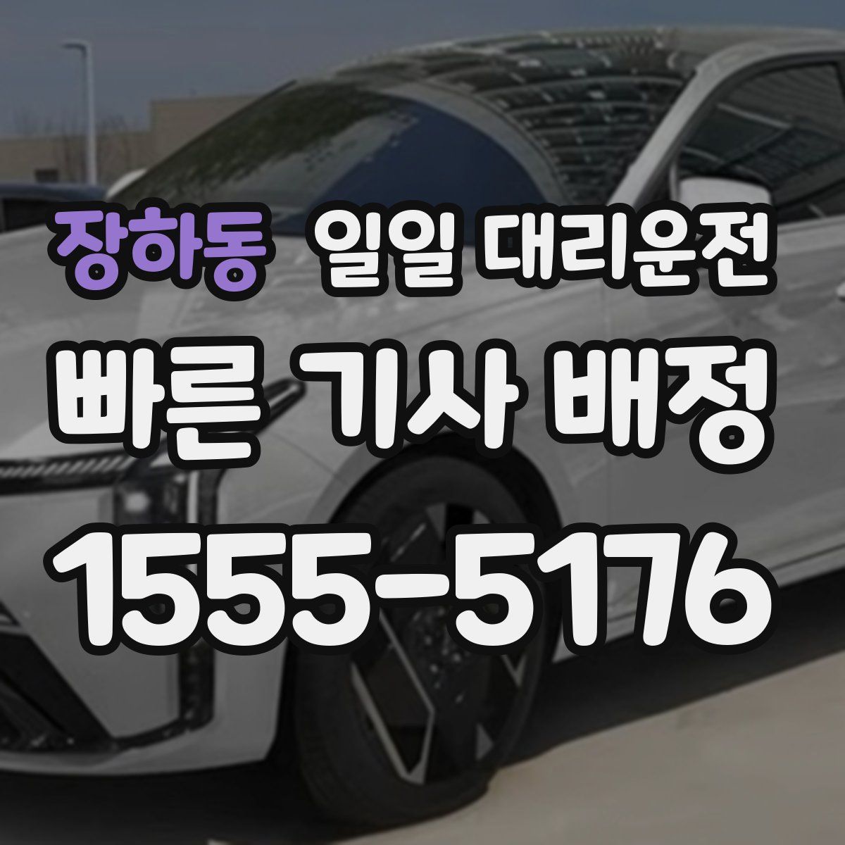 장하동 일일 대리운전