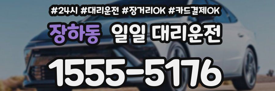 장하동 일일 대리운전