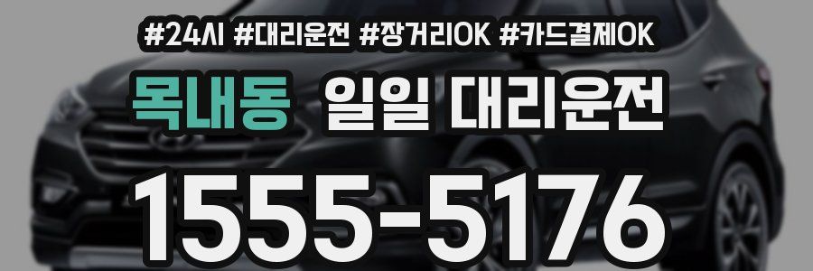 목내동 일일 대리운전