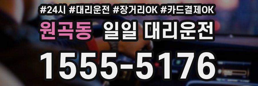 원곡동 일일 대리운전