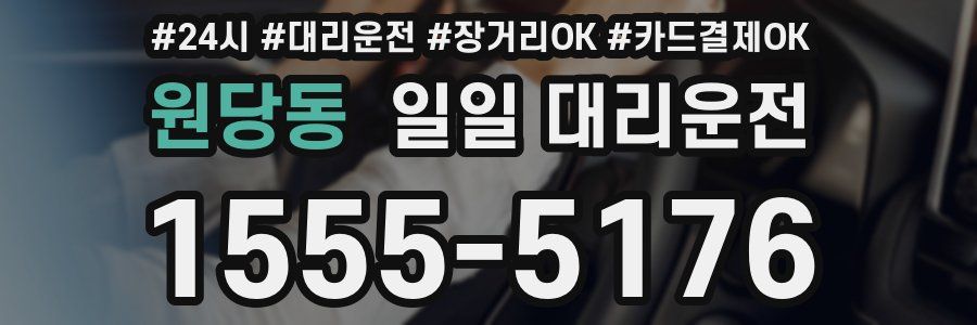 원당동 일일 대리운전