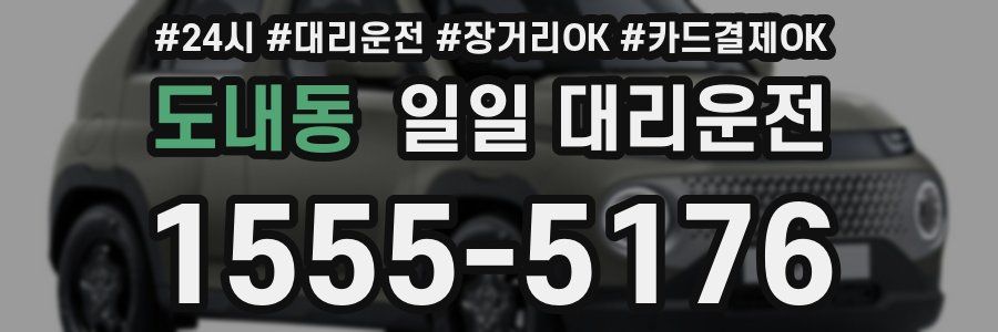 도내동 일일 대리운전