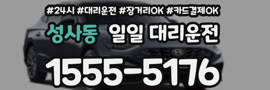 성사동 일일 대리운전