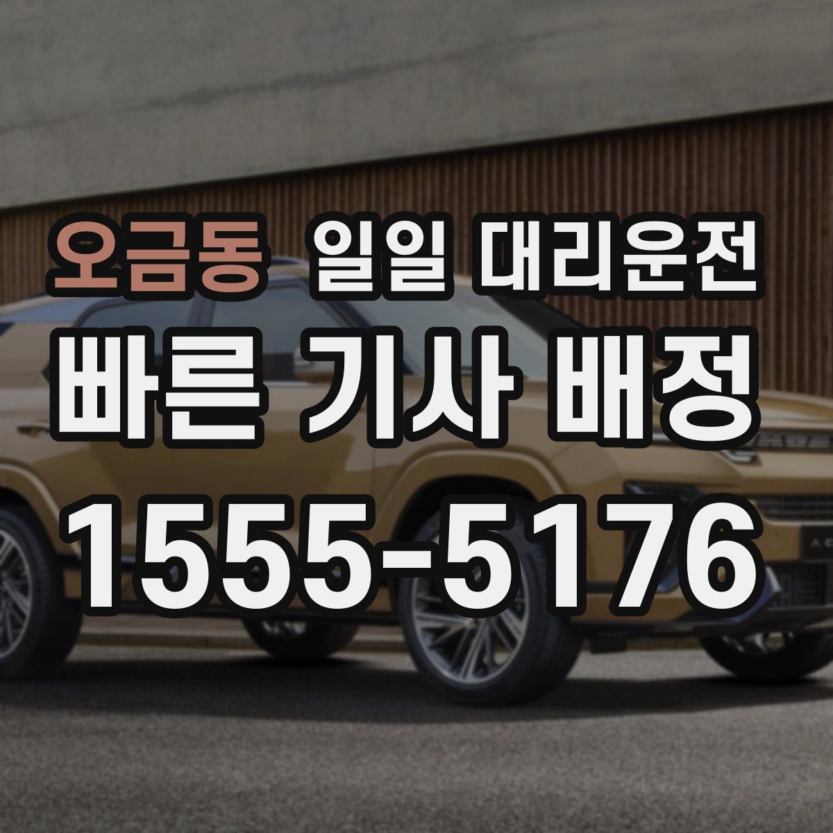오금동 일일 대리운전