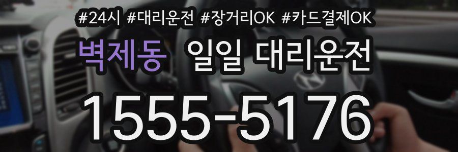 벽제동 일일 대리운전