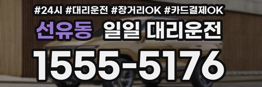 선유동 일일 대리운전