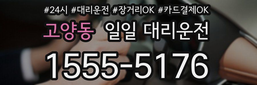 고양동 일일 대리운전