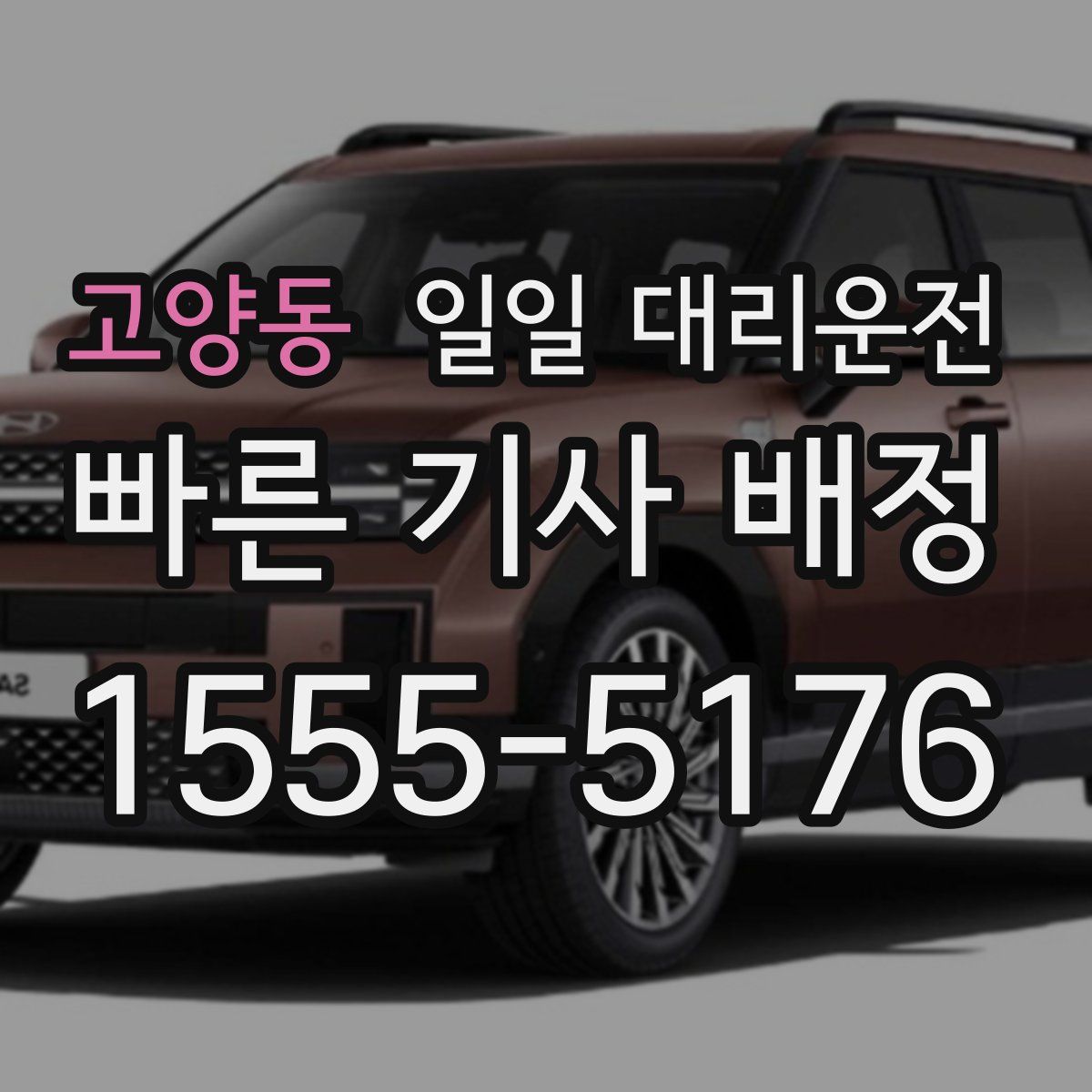 고양동 일일 대리운전