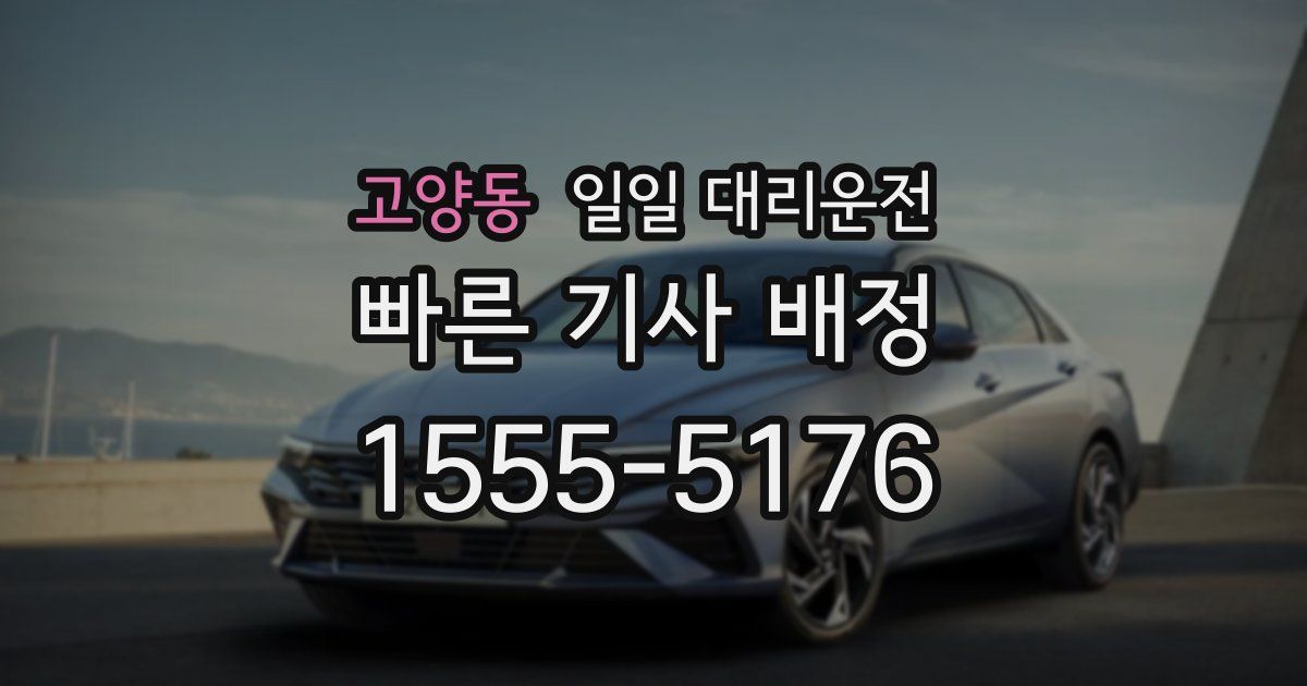 고양동 일일 대리운전