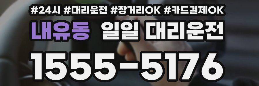 내유동 일일 대리운전