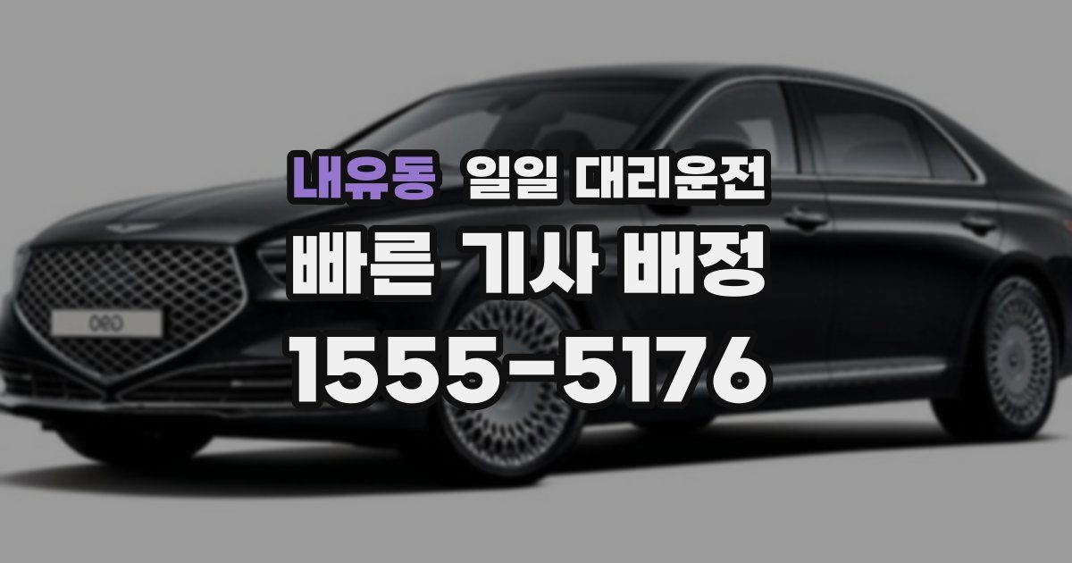 내유동 일일 대리운전