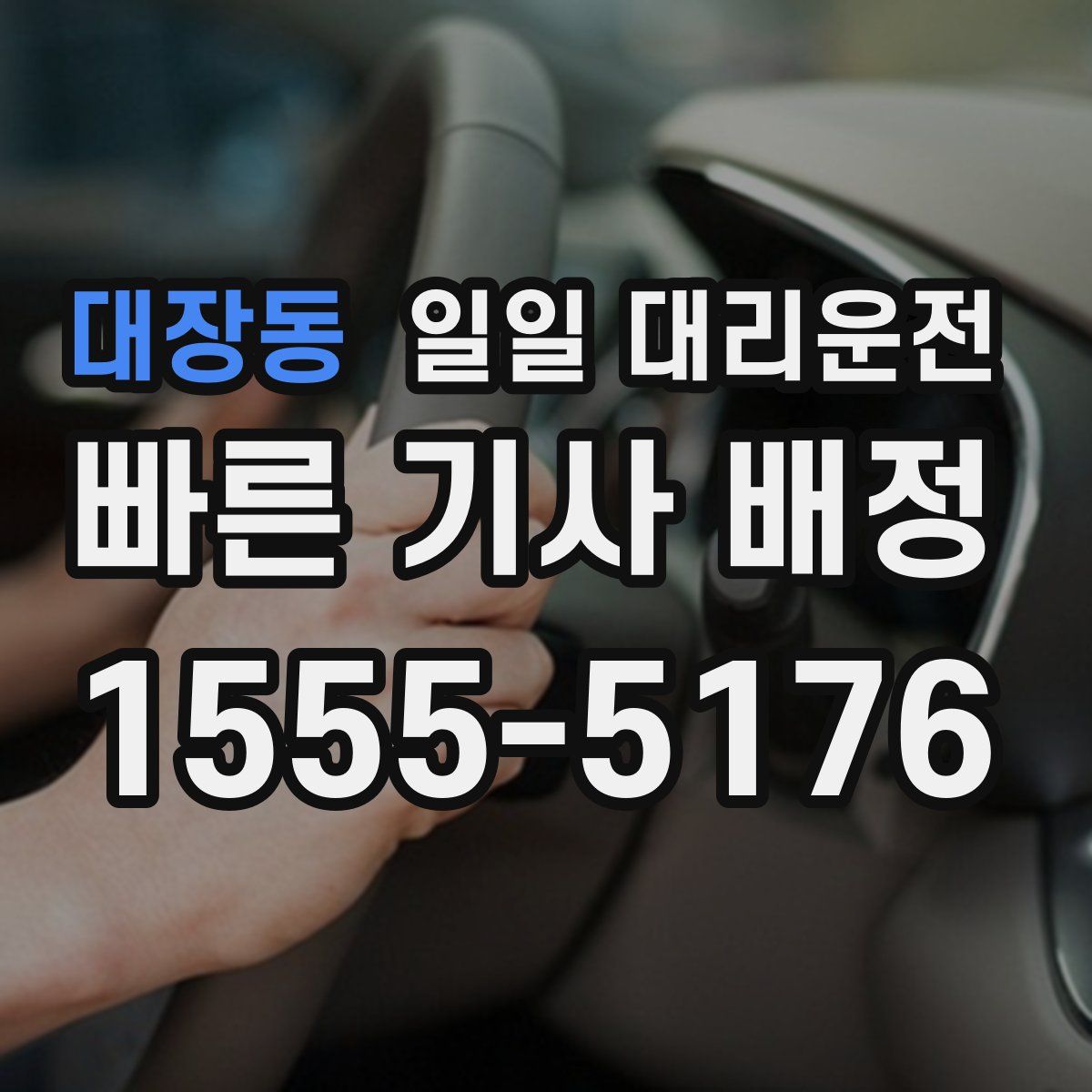 대장동 일일 대리운전