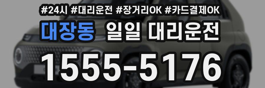 대장동 일일 대리운전