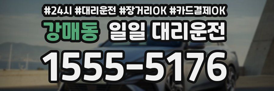 강매동 일일 대리운전