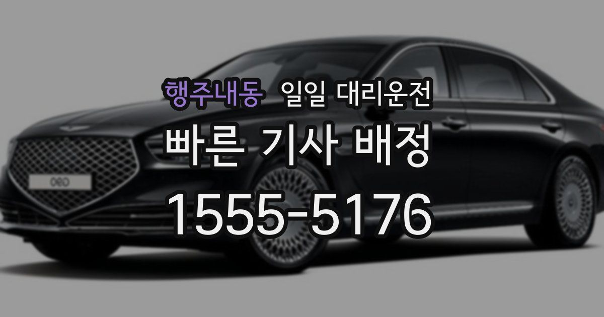 행주내동 일일 대리운전