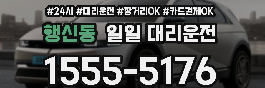 행신동 일일 대리운전