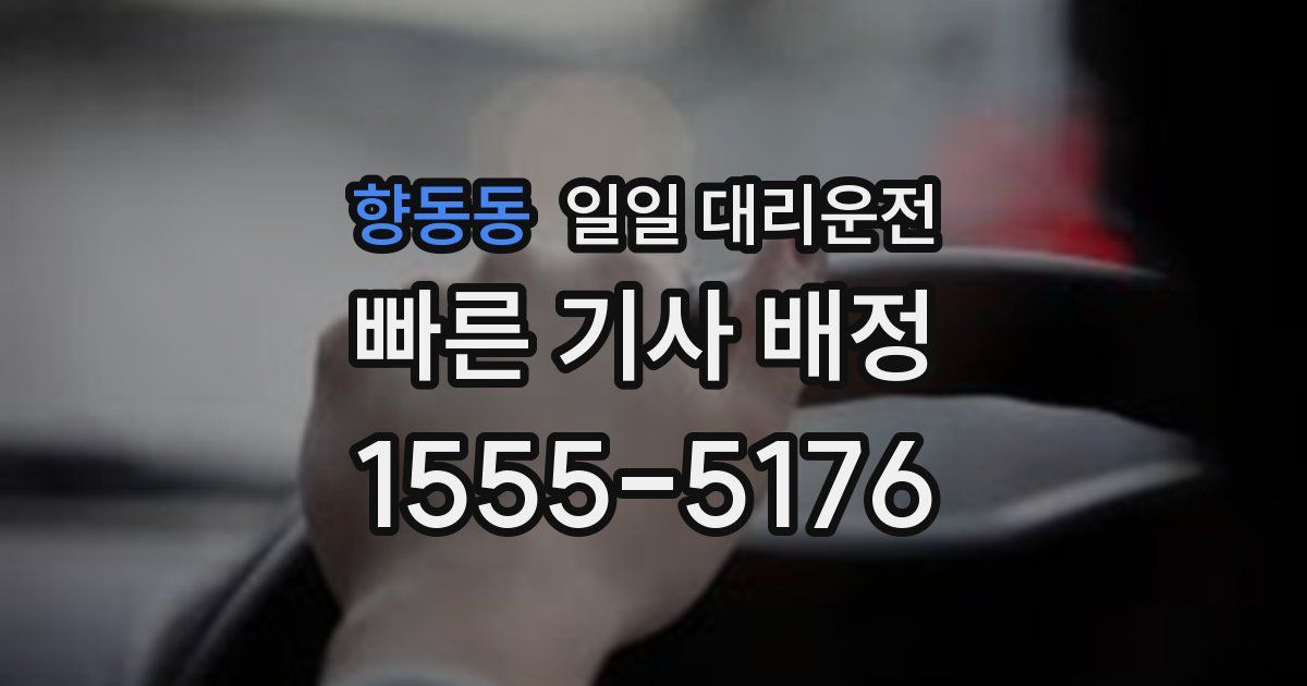 향동동 일일 대리운전