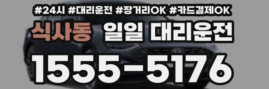 식사동 일일 대리운전