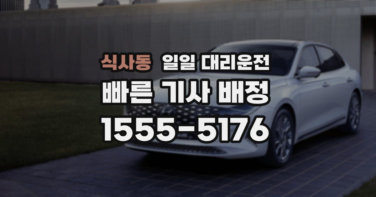 식사동 일일 대리운전