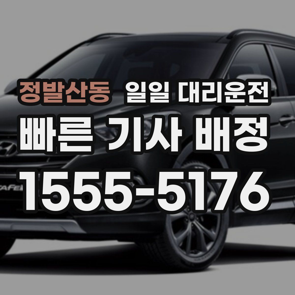 정발산동 일일 대리운전
