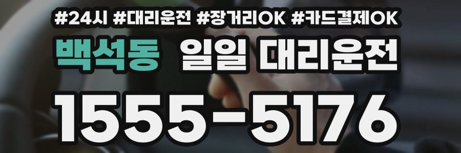 백석동 일일 대리운전