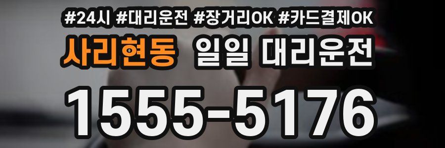 사리현동 일일 대리운전