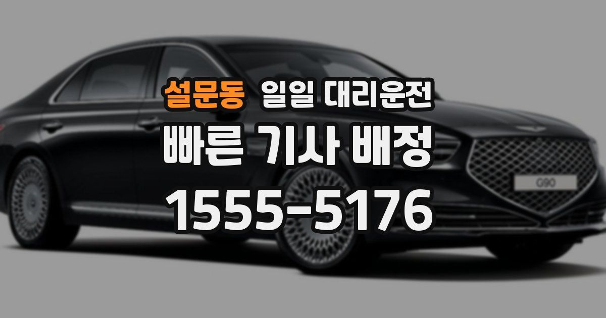 설문동 일일 대리운전