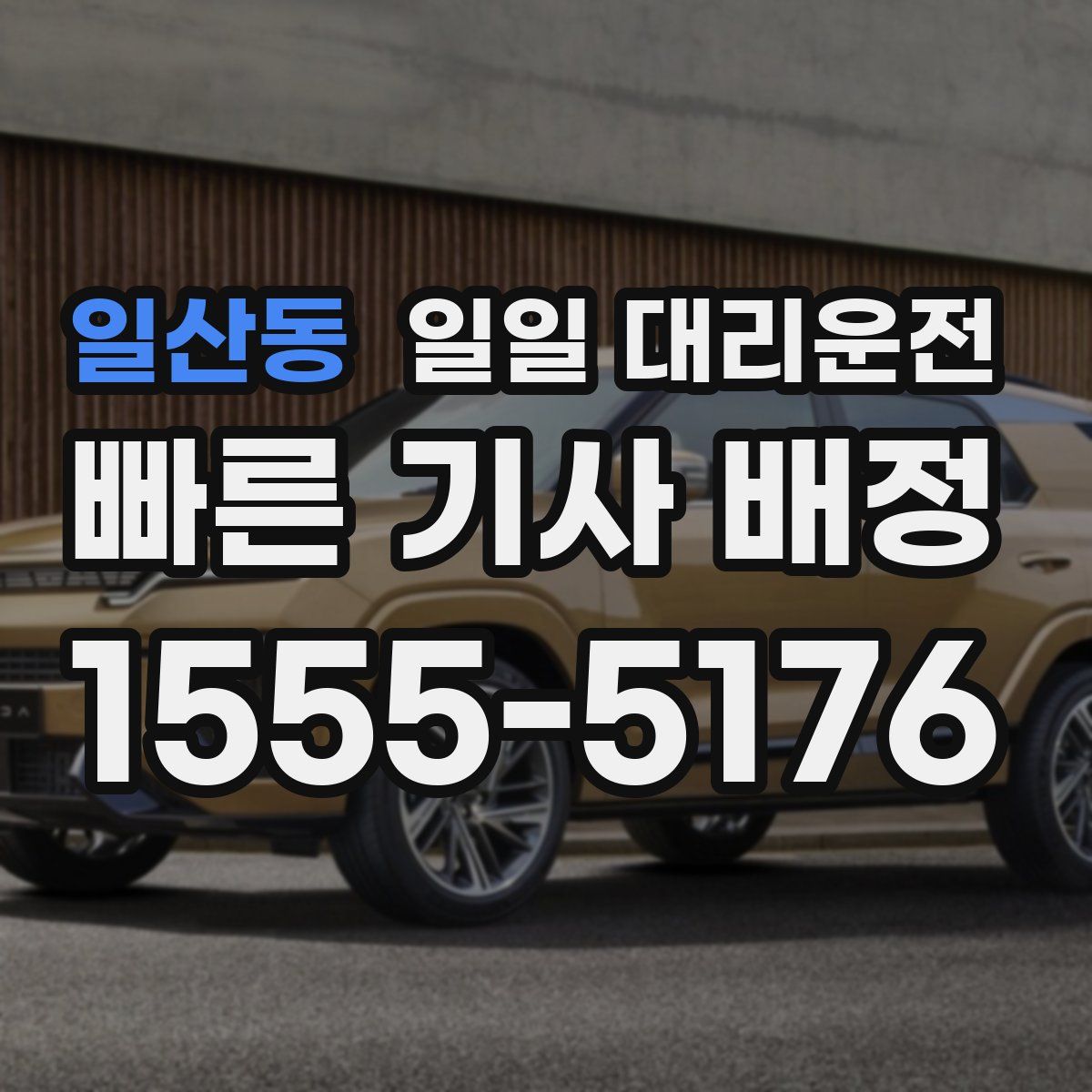 일산동 일일 대리운전
