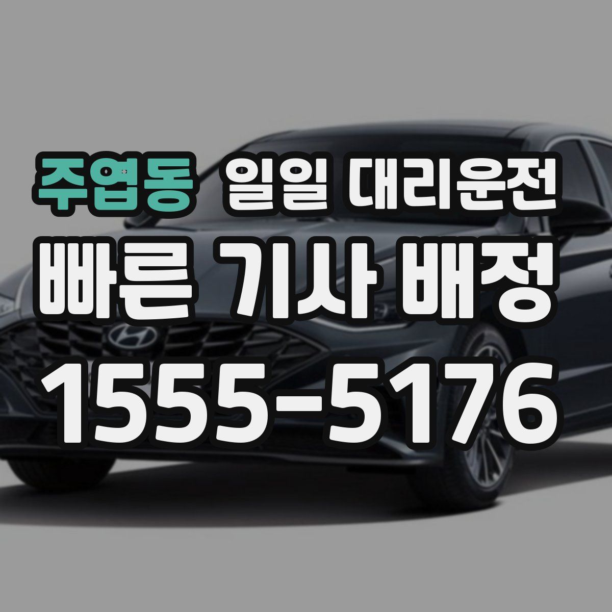 주엽동 일일 대리운전