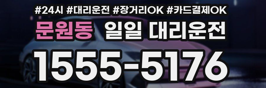 문원동 일일 대리운전
