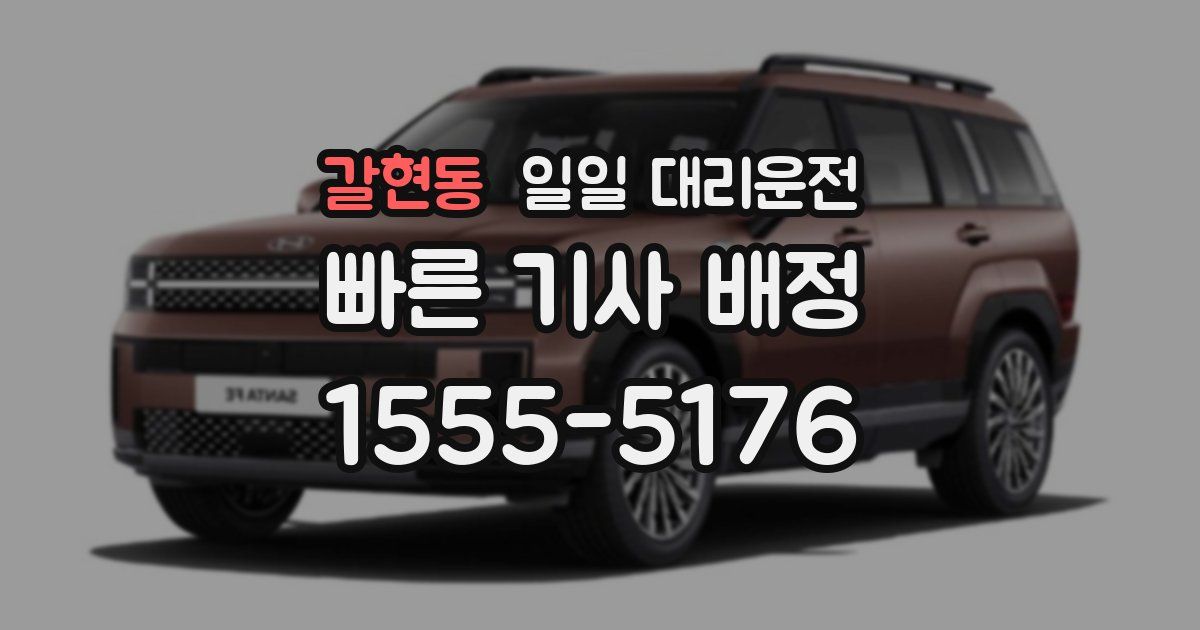 갈현동 일일 대리운전