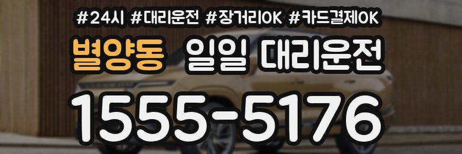 별양동 일일 대리운전