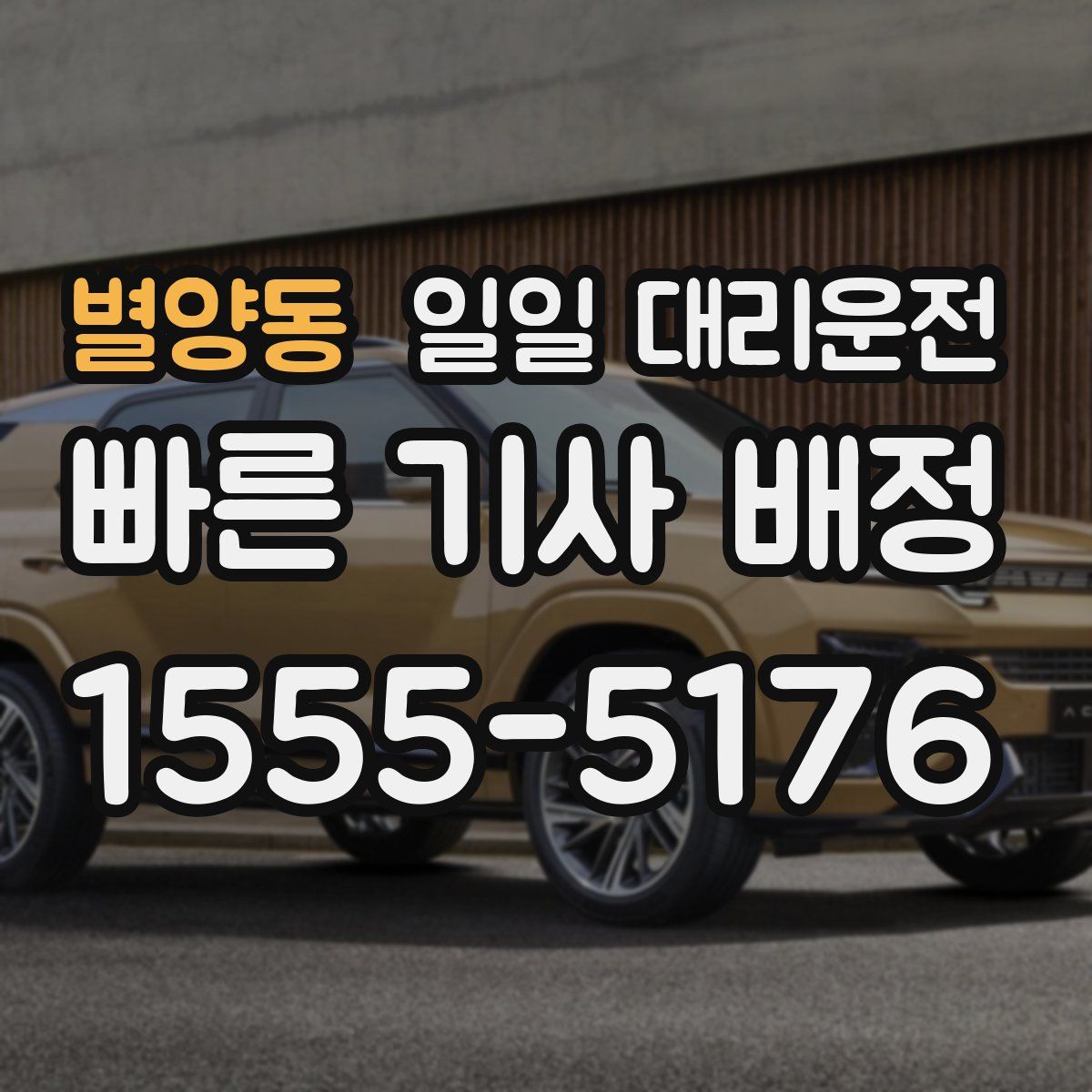별양동 일일 대리운전