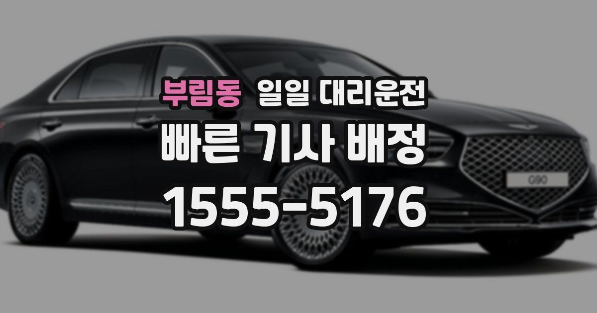 부림동 일일 대리운전