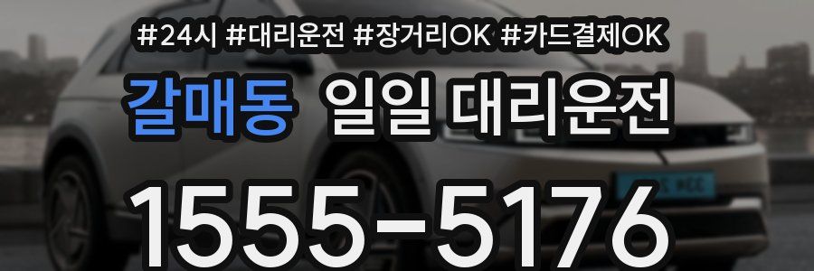 갈매동 일일 대리운전