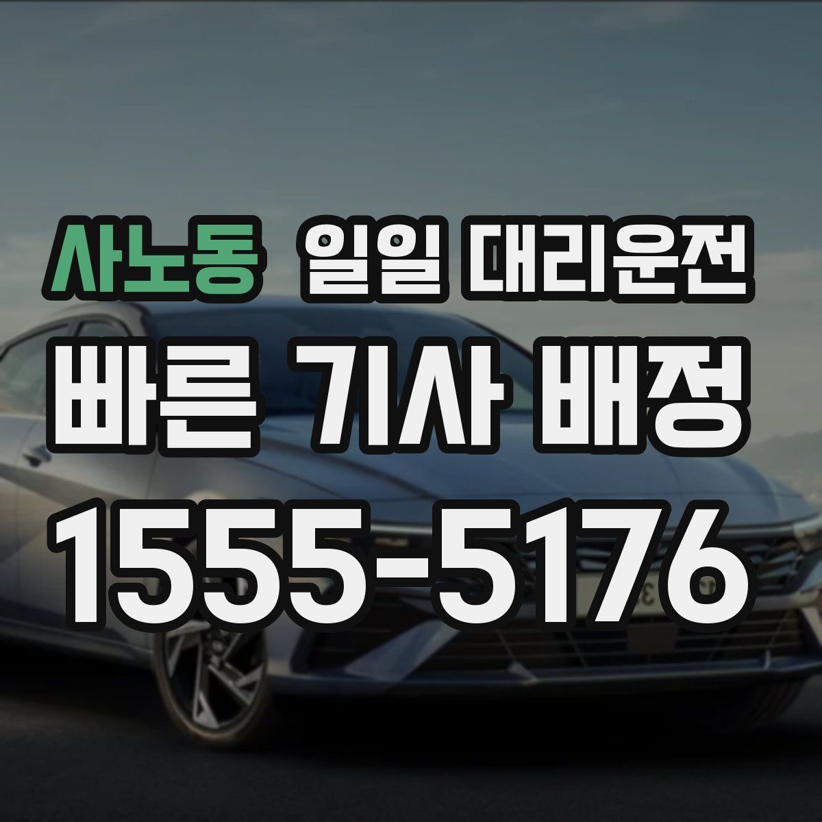 사노동 일일 대리운전