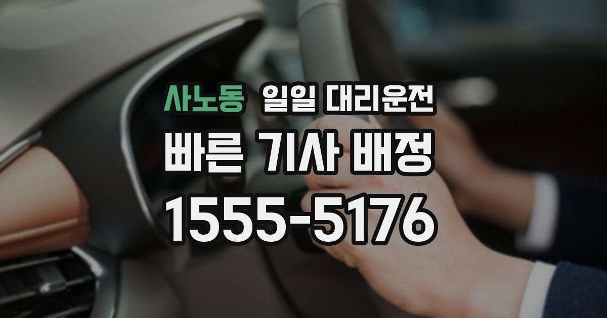 사노동 일일 대리운전
