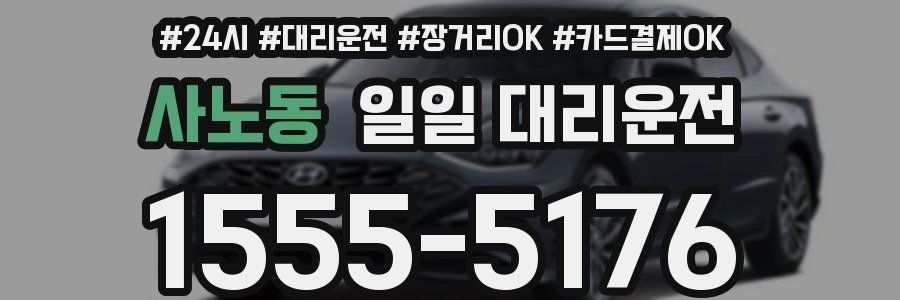 사노동 일일 대리운전
