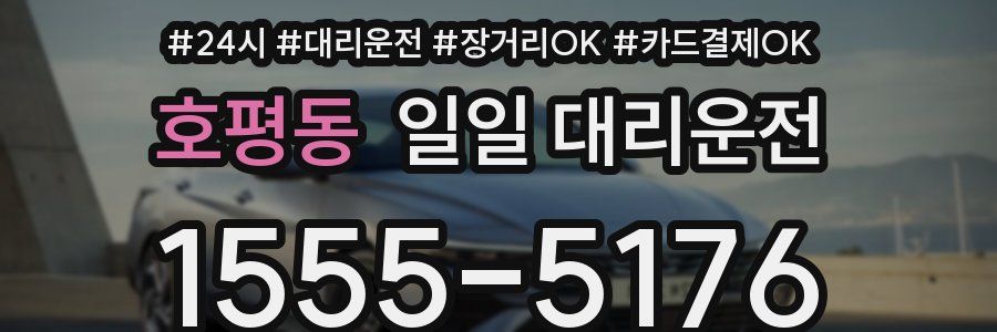호평동 일일 대리운전