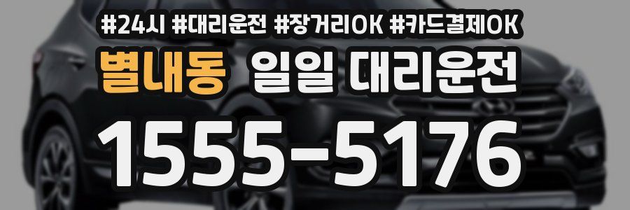 별내동 일일 대리운전