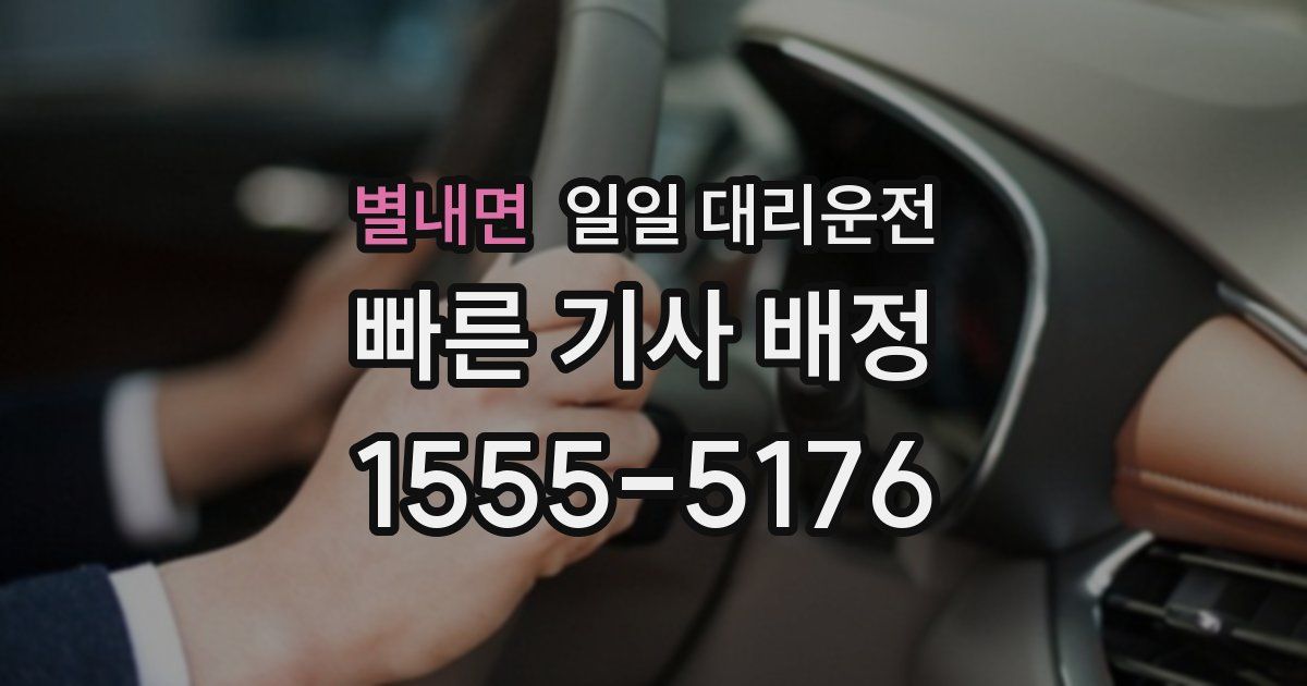 별내면 일일 대리운전