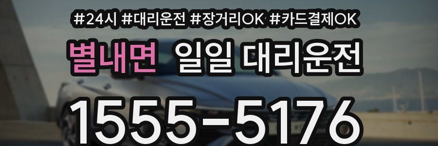 별내면 일일 대리운전
