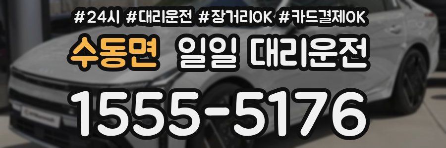 수동면 일일 대리운전