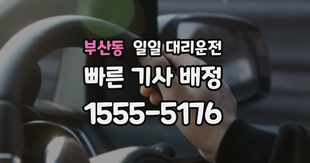 부산동 일일 대리운전