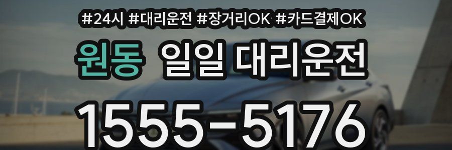 원동 일일 대리운전