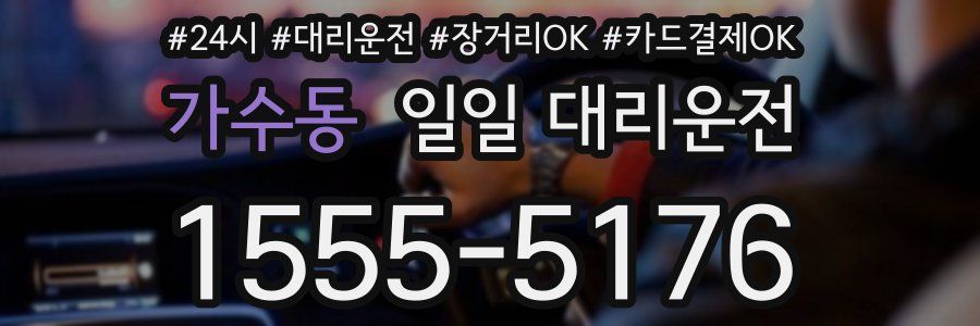 가수동 일일 대리운전