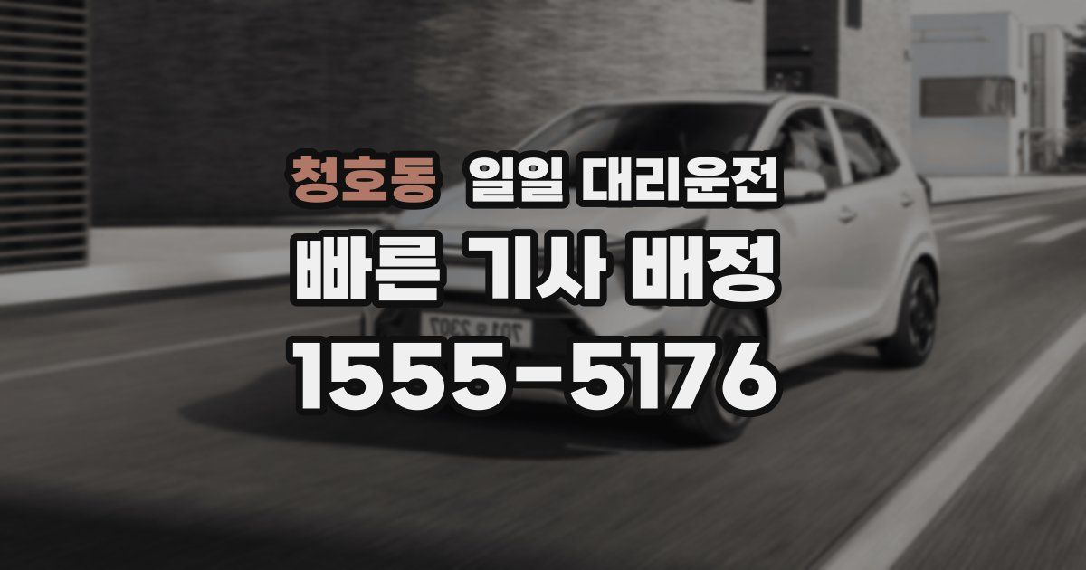 청호동 일일 대리운전