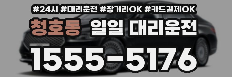 청호동 일일 대리운전
