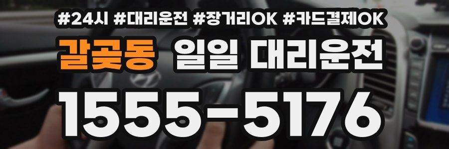 갈곶동 일일 대리운전