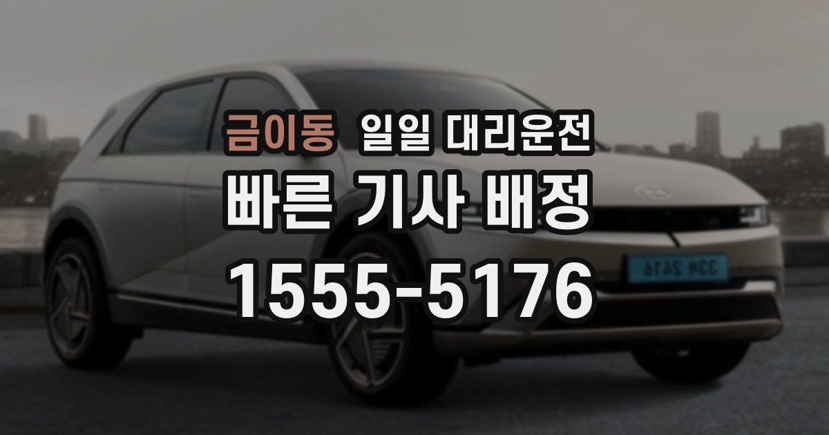 금이동 일일 대리운전